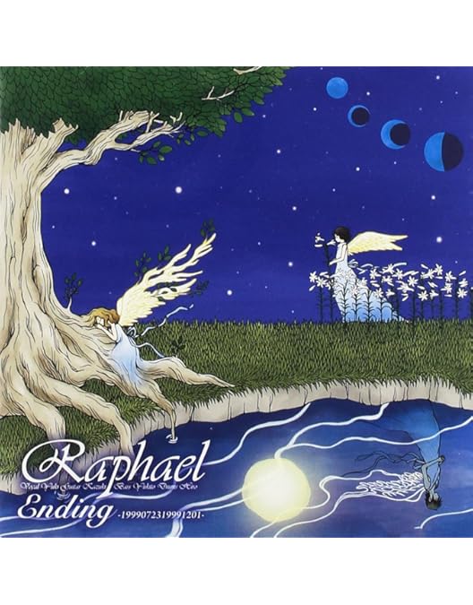 ミュージック raphael LIVE DVD raphael LIVE DVD